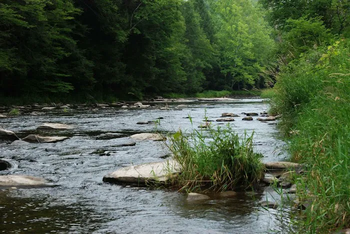 Slumber Valley Campground Picture 4