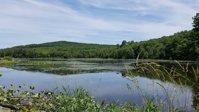 Oakwood Lake Village Picture 7
