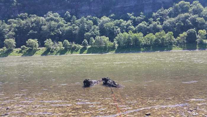 Susquehanna Shores Campground Picture 9