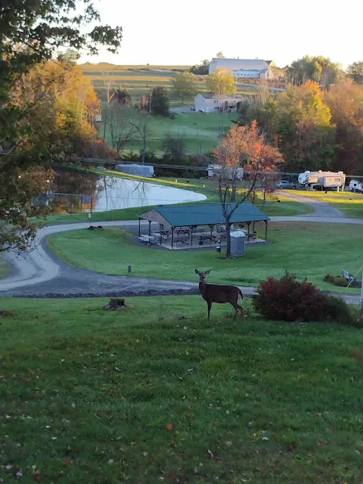Stony Mountain Family Campground Picture 1