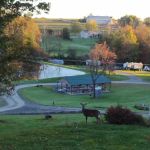 Stony Mountain Family Campground