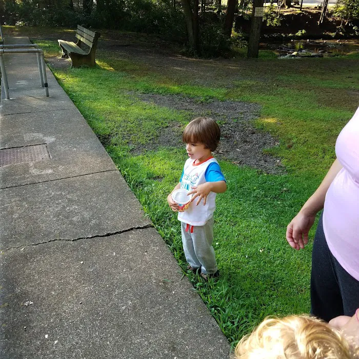 Moyers Grove Campground Picture 10