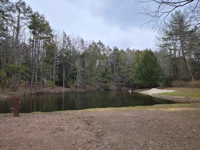 Moyers Grove Campground Picture 3
