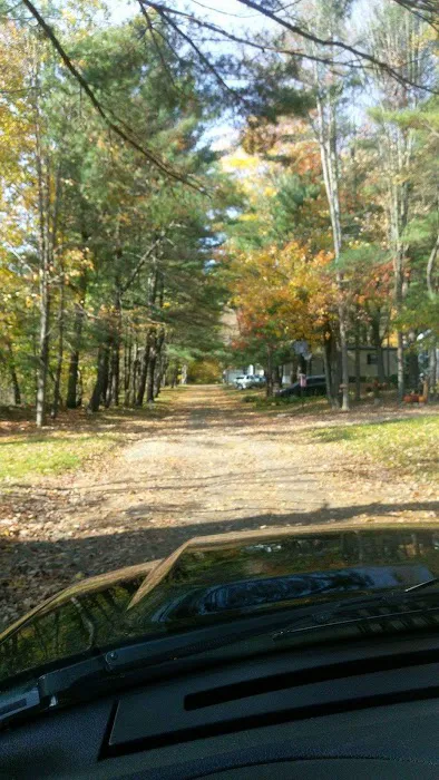 Hidden Forest Homes Picture 3