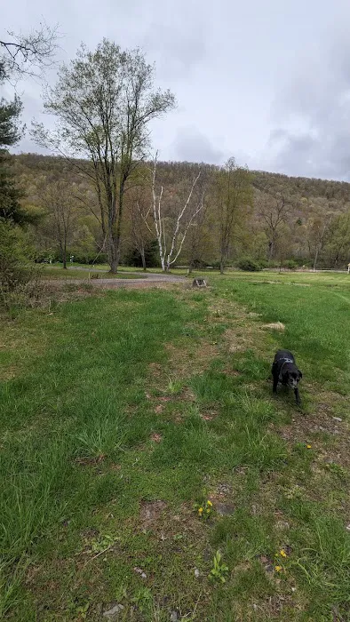 MorningStar RV Park Picture 6