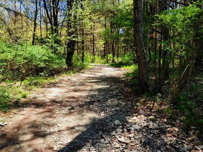 MorningStar RV Park Picture 8