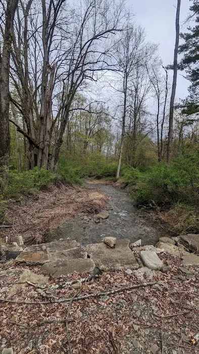MorningStar RV Park Picture 3