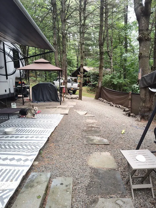 Aspen Campground Picture 4