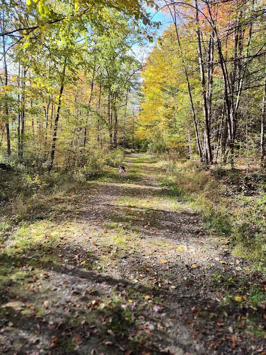 Aspen Campground Picture 9