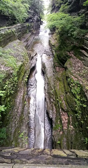 Meadowbrook Park Picture 3