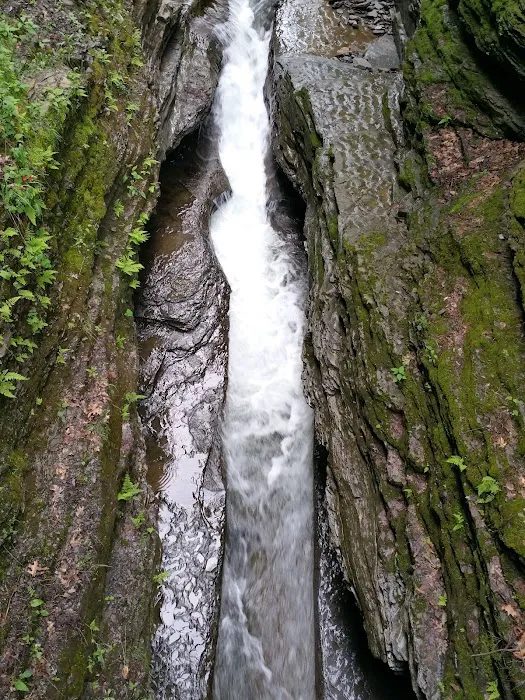 Meadowbrook Park Picture 10