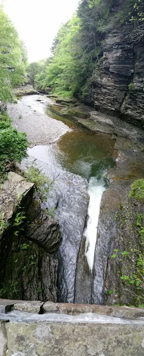 Meadowbrook Park Picture 6