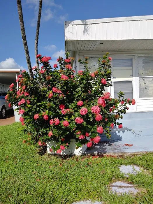 Golf View Estates Mobile Home Picture 7