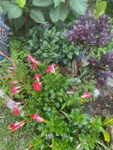 Lauderdale Mobile Home Park, LLC Picture 1