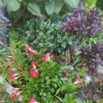 Lauderdale Mobile Home Park, LLC