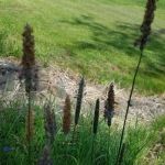 Melanie Manor Home Estates LLC