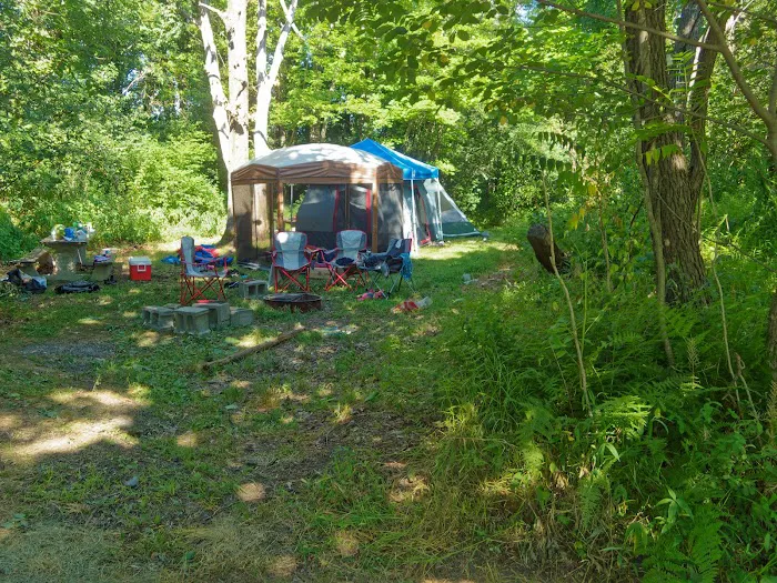 Riverview Park Campground Picture 4
