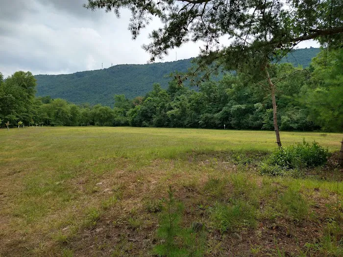 Riverview Park Campground Picture 8