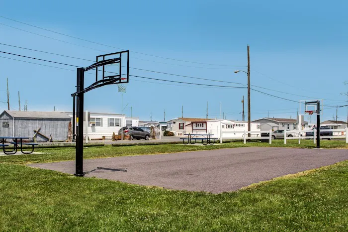Shawcrest Community and Marina Picture 4