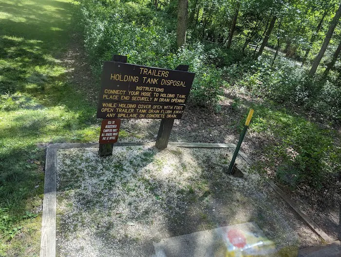 Turkey Swamp Campground Picture 10
