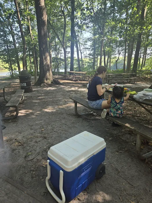 Turkey Swamp Campground Picture 2