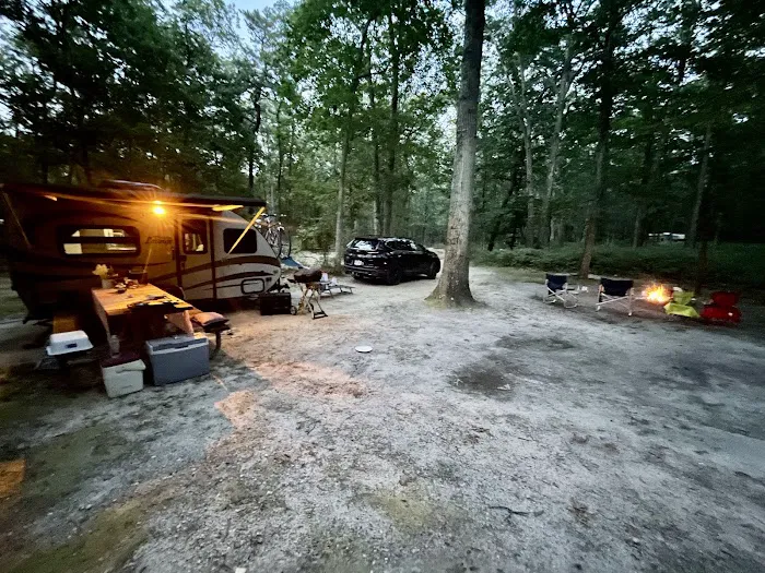 Turkey Swamp Campground Picture 9