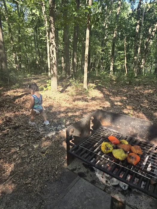 Turkey Swamp Campground Picture 5