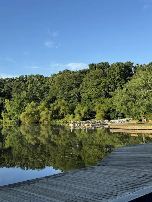 Turkey Swamp Campground Picture 1