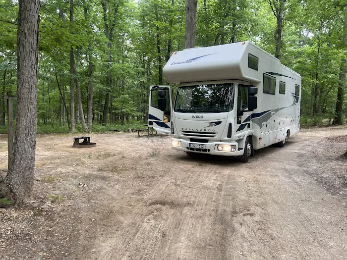 Turkey Swamp Campground Picture 6