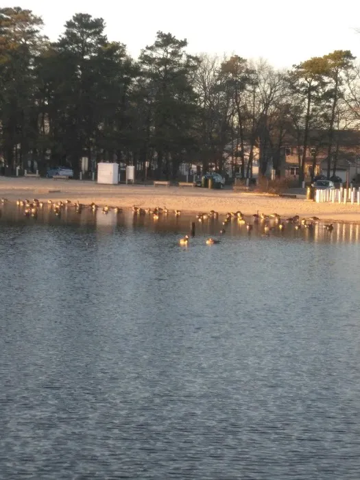 Barker's Village Picture 3