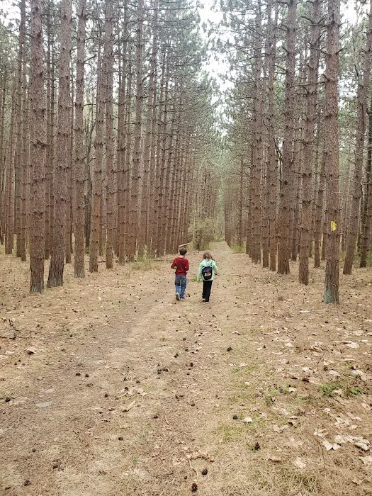 Frances Slocum State Park Campground Picture 9