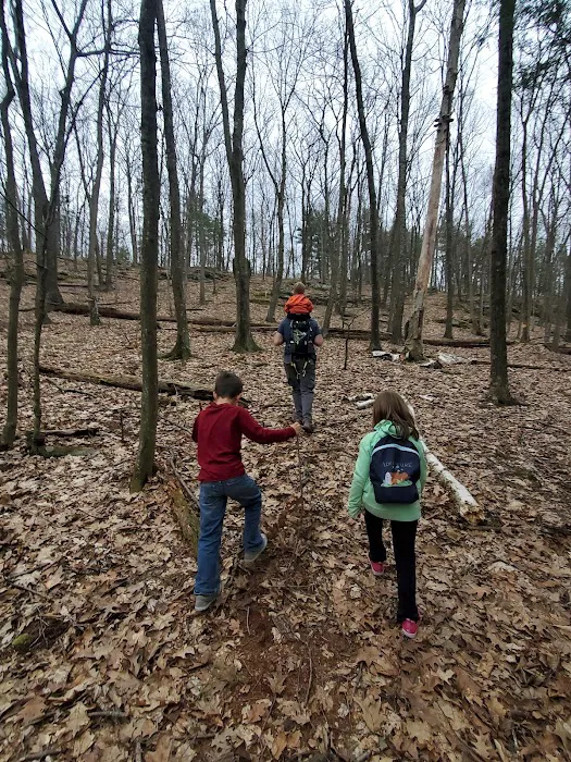 Frances Slocum State Park Campground Picture 3