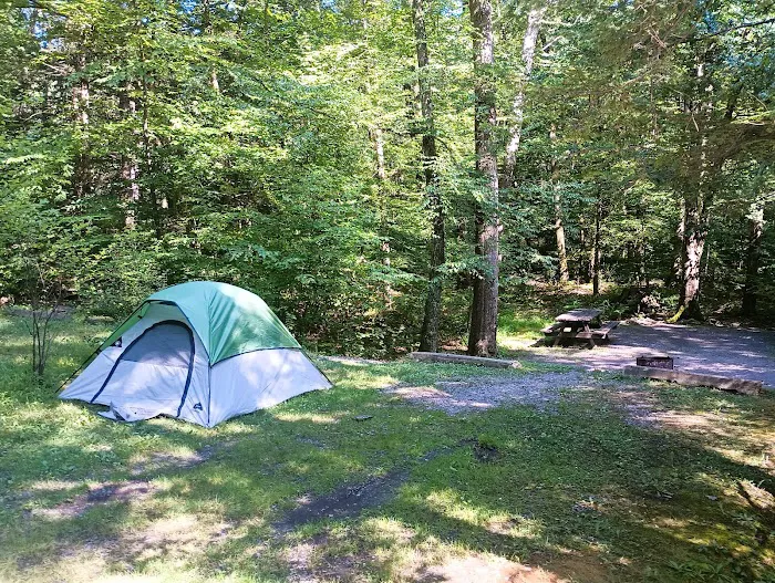 Frances Slocum State Park Campground Picture 10