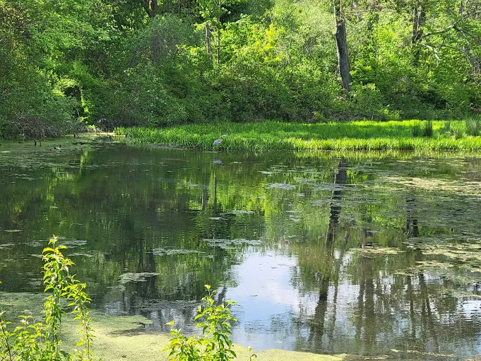 Frances Slocum State Park Campground Picture 8