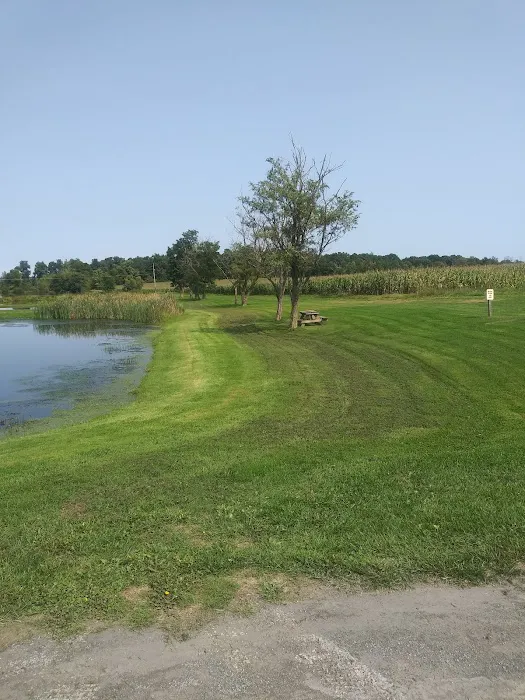 How Kola Campground Picture 5