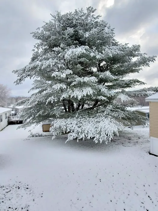 Benton Hills Mobile Home Park Picture 1