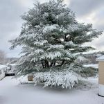 Benton Hills Mobile Home Park