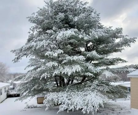 Benton Hills Mobile Home Park