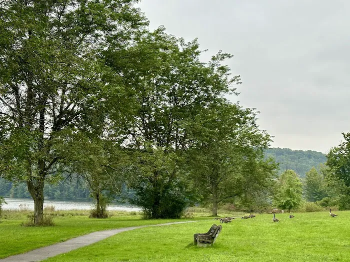 Lackawanna state park campground Picture 8
