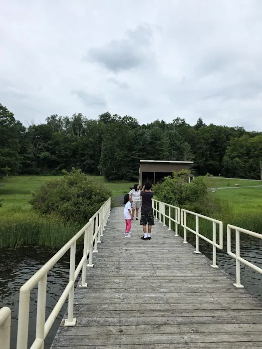 Lackawanna state park campground Picture 7