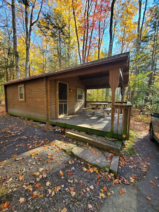 Lackawanna state park campground Picture 6