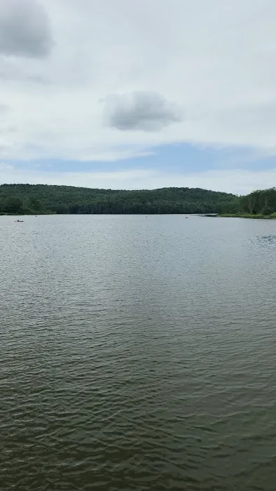 Lackawanna state park campground Picture 5