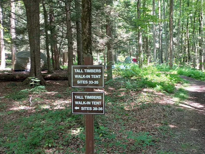 Carpenter Town Camping Picture 6
