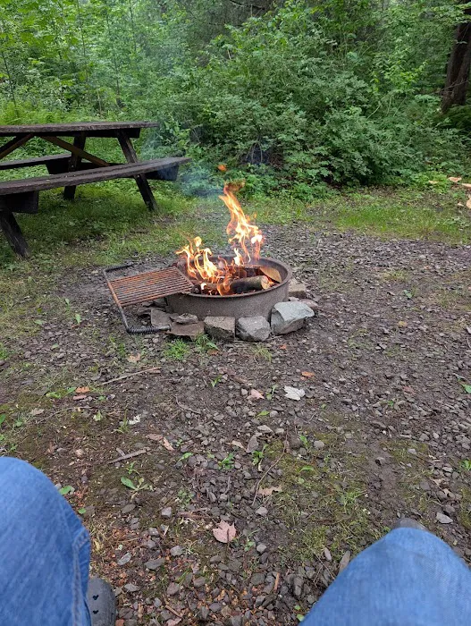 Carpenter Town Camping Picture 10