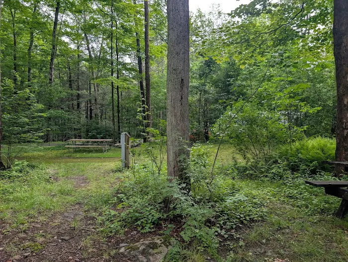 Carpenter Town Camping Picture 8