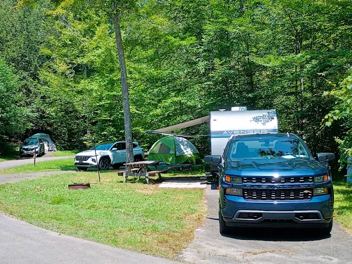 Carpenter Town Camping Picture 3