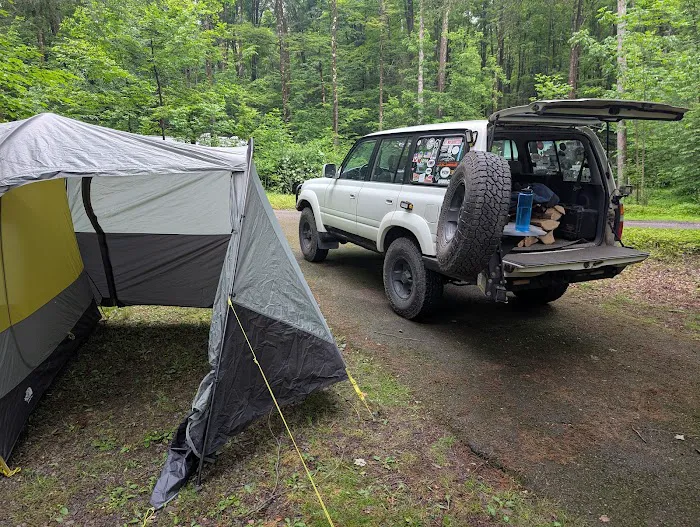 Carpenter Town Camping Picture 7