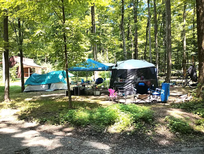 Fox Run Camping Area Picture 1