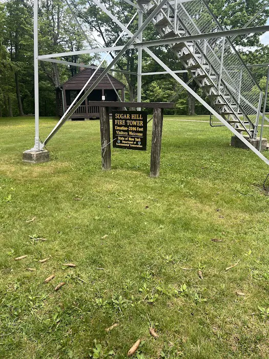 Sugar Hill Fire Tower Picture 5