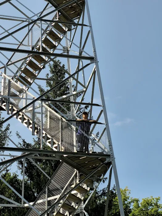 Sugar Hill Fire Tower Picture 10